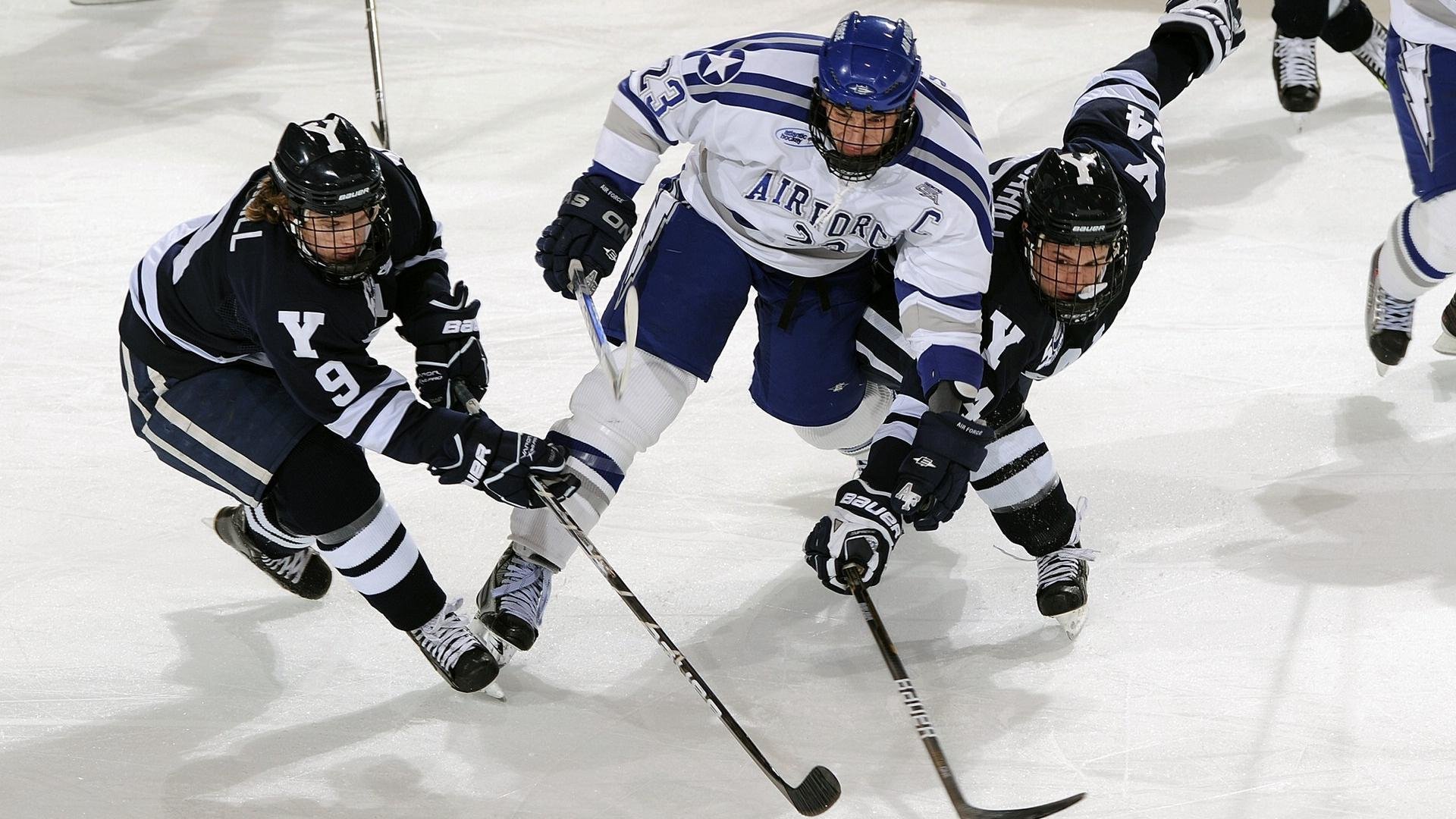 阿根廷诞生世界首批基因编辑马匹，提升马球速度，推动马术科技发展。